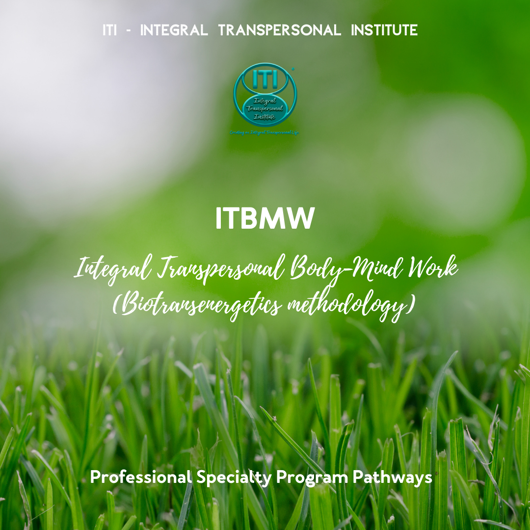 PSPP ITBMW cover